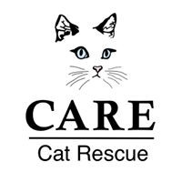 Cat Adoption and Rescue Efforts, Inc.