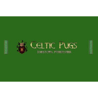 Celtic Pugs