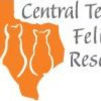 Central Texas Feline Rescue