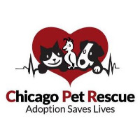 Chicago Pet Rescue