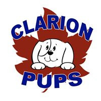Clarion PUPS