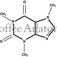 Coffee Anatomy