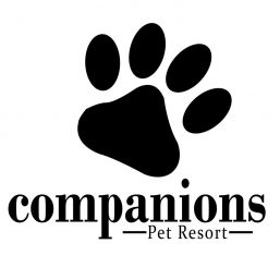 Companions Pet Resort