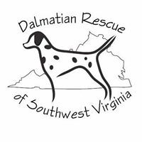 Dalmatian Rescue of Southwest Virginia