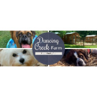 Dancing Creek Farm