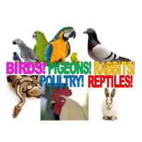 Exotic Bird & Animal Expo