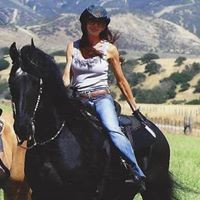 Fairytale Friesian Finder Service, LLC