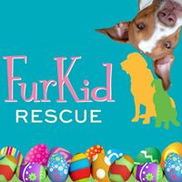 FurKid Rescue