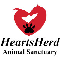 HeartsHerd Animal Sanctuary