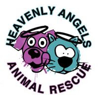 Im a Fan of Heavenly Angels Animal Rescue Inc. ... Are you?