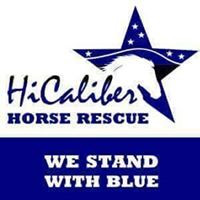 HiCaliber Horse Rescue