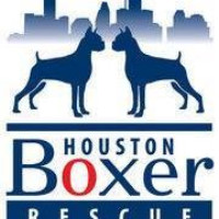 Houston Boxer Rescue