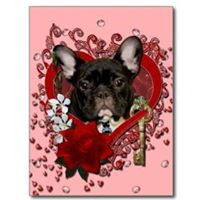 Keystone Bulldog Rescue SWPA