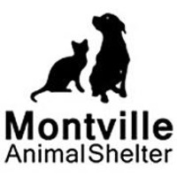Montville Animal Shelter New Jersey