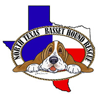 North Texas Basset Hound Rescue, Inc