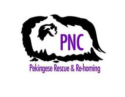 PNC Rescue