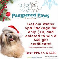 Pampered Paws Salon