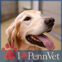 Penn Vet