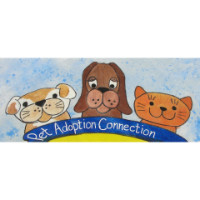 Pet Adoption Connection