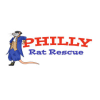 Philly Rat Rescue