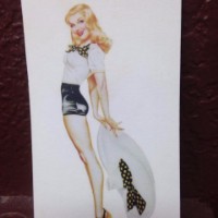 Pin-up girls salon