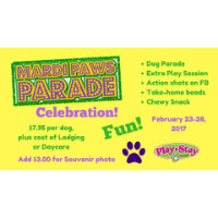 Play N Stay Pet Camp (Wheeling location)