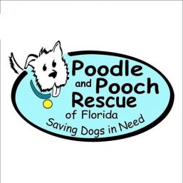 Poodle and Pooch Rescue of Florida