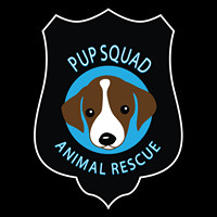 Pup Squad Animal Rescue