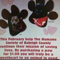 Raleigh County Humane Society