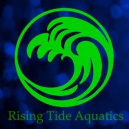 Rising Tide Aquatics