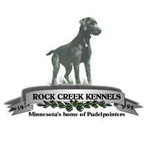 Rock Creek Pudelpointers