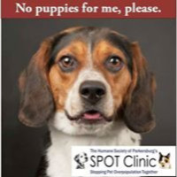 SPOT Clinic