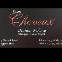 Salon Cheveux