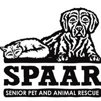 Senior Pet and Animal Rescue