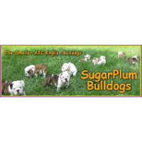 Sugarplum Bulldogs