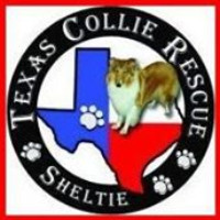 Texas Collie & Sheltie Rescue