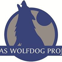 Texas Wolfdog Project: Rescue, Adoption and Education