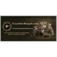 TexasStarBengals