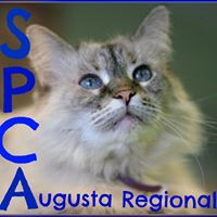 The Augusta Regional SPCA