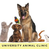 University Animal Clinic