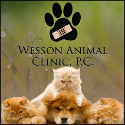 Wesson Animal Clinic