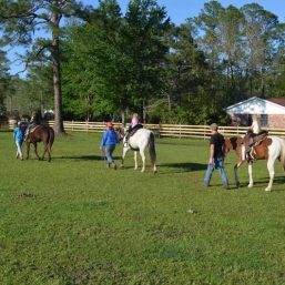 White-Gates Farm Victory Horse Boarding/Training