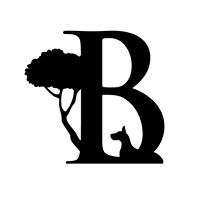 Bark Avenue Pet Resort : Arizona