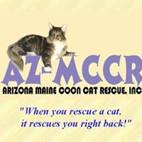 Arizona Maine Coon Cat Rescue, Inc.