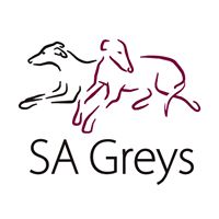 Southern Arizona Greyhound Adoption