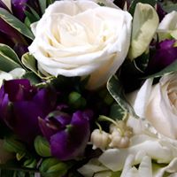 Kawartha Lakes Classic Flowers: Lindsay ON, Canada