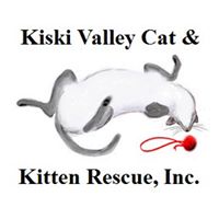 Kiski Valley Cat & Kitten Rescue