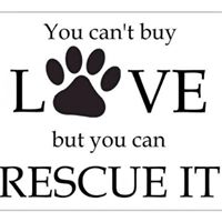 New Beginnings Feral Rescue, Wilburton, Pa 17888
