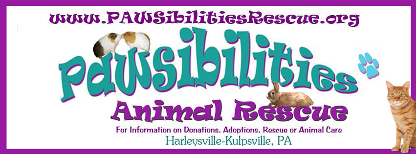 PAWSibilities Animal Rescue