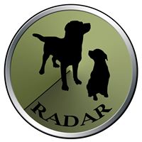 Raising Aid for Dogs At Risk – RADAR Dogs